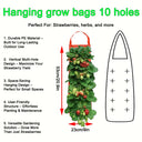Hanging Grow Bags for Strawberries Tomatoes Hanging Planting Grow Bag Vertical Garden  Strawberry Planter Pot Aeroponic Tower