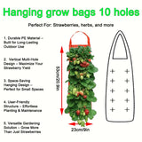Hanging Grow Bags for Strawberries Tomatoes Hanging Planting Grow Bag Vertical Garden  Strawberry Planter Pot Aeroponic Tower