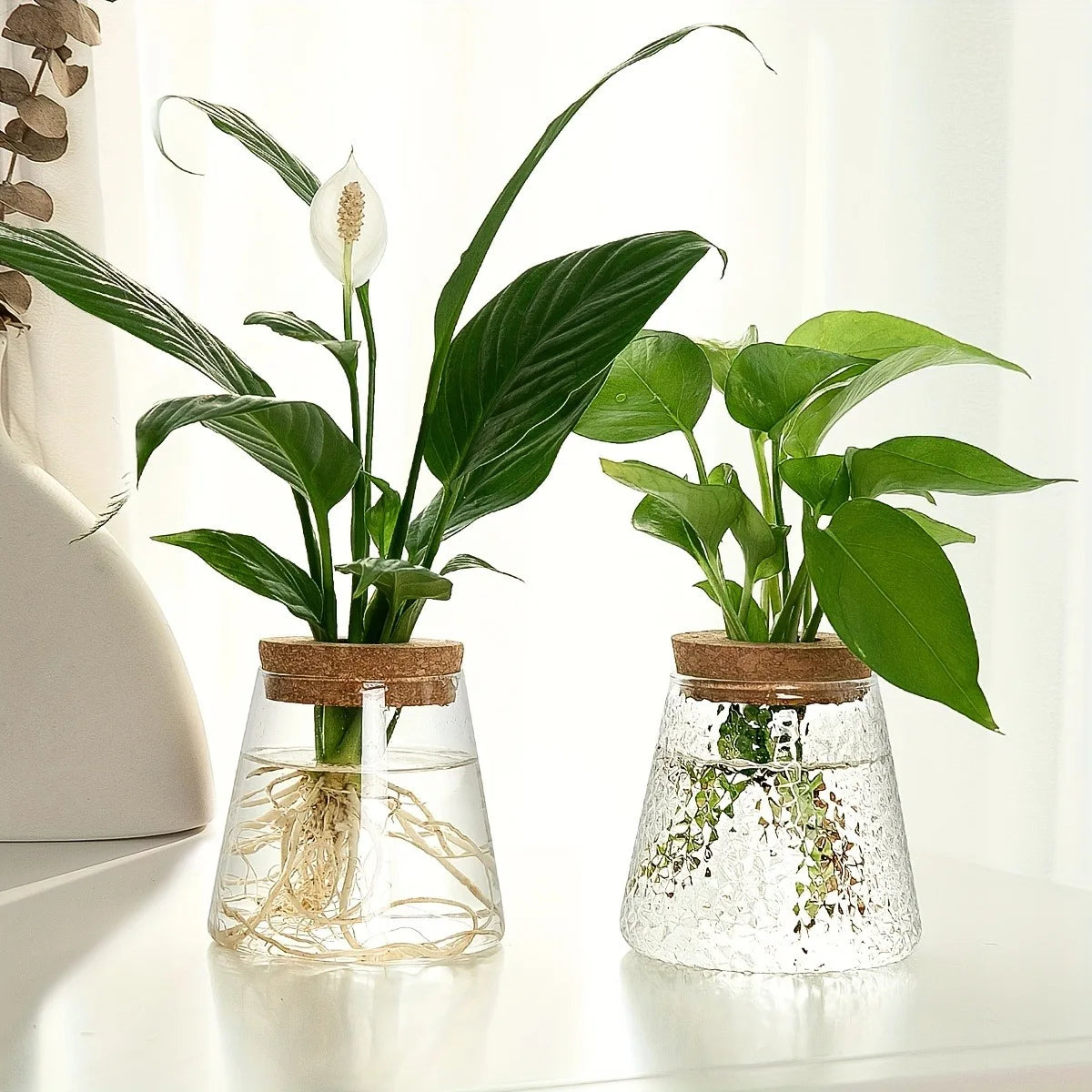 Nordic Glass Hydroponic Vase with Tray - Mini Self-Watering Planter for Tabletop Plants, Simple Home Decor & Gift Idea
