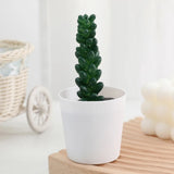 Artificial Succulent Bonsai Plants Simulation Succulents Mini Evergreen Bonsai Cactus Succulent Plastic Fake Plants Decor