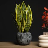 32/37cm Artificial Succulent Plants Fake Sansevieria Indoor Tiger Fur Tropical Faux Snake Plant Office Hotel Balcony Home Decor