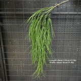 1PC Artificial Hanging Green Plants Fake Rattan Wall Hanging Plastic Vine for Home Garden Restaurant Decoration Soft Landscaping