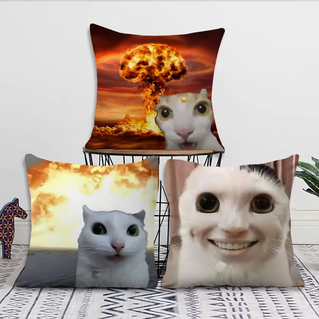 Cushion Cover Comfort Soft Cat Funny Pillowcase Sofa Meme Living Room Home Gift Office Decor Protective Covers