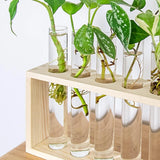 3/5 Tubes Wall Hanging Hydroponic Plant Propagation Glass Vase with Wooden Stand Desktop for Home Office Planter Garde Decor