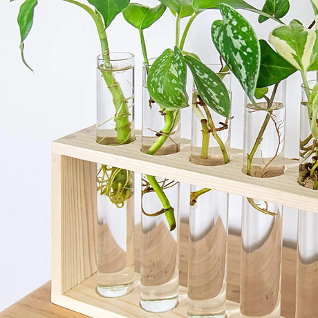 3/5 Tubes Wall Hanging Hydroponic Plant Propagation Glass Vase with Wooden Stand Desktop for Home Office Planter Garde Decor