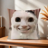 Cushion Cover Comfort Soft Cat Funny Pillowcase Sofa Meme Living Room Home Gift Office Decor Protective Covers