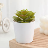 Artificial Succulent Bonsai Plants Simulation Succulents Mini Evergreen Bonsai Cactus Succulent Plastic Fake Plants Decor