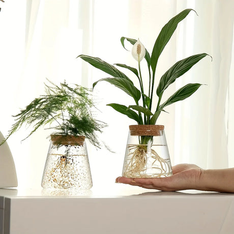 Nordic Glass Hydroponic Vase with Tray - Mini Self-Watering Planter for Tabletop Plants, Simple Home Decor & Gift Idea