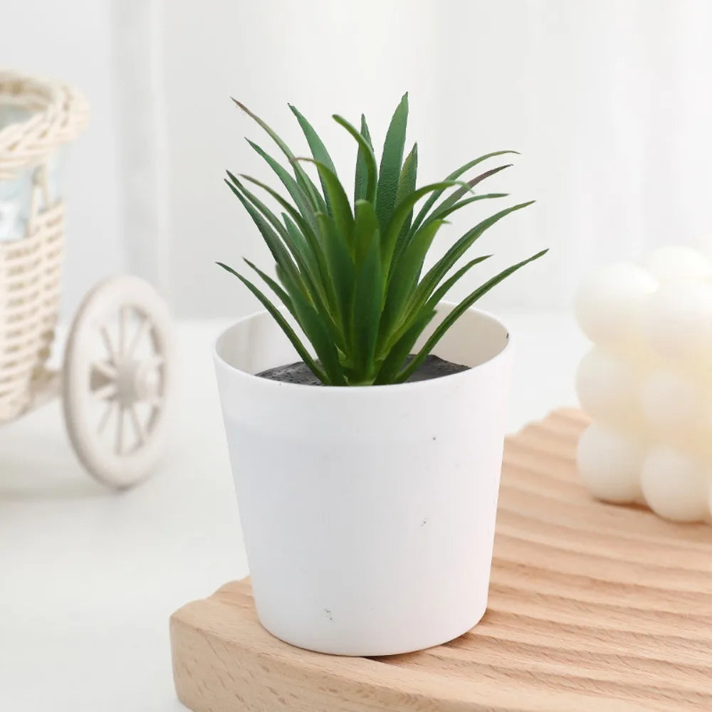 Artificial Succulent Bonsai Plants Simulation Succulents Mini Evergreen Bonsai Cactus Succulent Plastic Fake Plants Decor