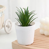 Artificial Succulent Bonsai Plants Simulation Succulents Mini Evergreen Bonsai Cactus Succulent Plastic Fake Plants Decor