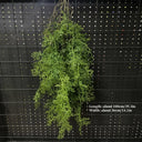 1PC Artificial Hanging Green Plants Fake Rattan Wall Hanging Plastic Vine for Home Garden Restaurant Decoration Soft Landscaping