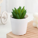 Artificial Succulent Bonsai Plants Simulation Succulents Mini Evergreen Bonsai Cactus Succulent Plastic Fake Plants Decor