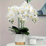 69cm Phalaenopsis Artificial Flower Branches Real Touch Faux Orchid Stems for Floral Arrangement Wedding Party Home Decoration