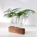 3/5 Tubes Wall Hanging Hydroponic Plant Propagation Glass Vase with Wooden Stand Desktop for Home Office Planter Garde Decor