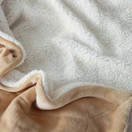 Sherpa Fleece Bed Blanket Twin Size Super Soft Fuzzy Plush Warm Cozy Fluffy Microfiber Couch Throw Velvet Double Reversible 5Lbs