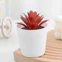 Artificial Succulent Bonsai Plants Simulation Succulents Mini Evergreen Bonsai Cactus Succulent Plastic Fake Plants Decor
