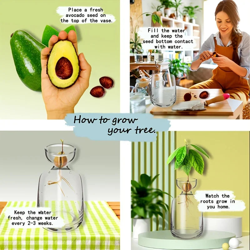 Two-piece Avocado Seed Starter Vase - Grow Your Own Avocado Tree Unique Glass Planting Pot for Gardening Lovers Start Your Green