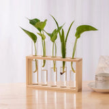 3/5 Tubes Wall Hanging Hydroponic Plant Propagation Glass Vase with Wooden Stand Desktop for Home Office Planter Garde Decor