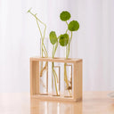 3/5 Tubes Wall Hanging Hydroponic Plant Propagation Glass Vase with Wooden Stand Desktop for Home Office Planter Garde Decor
