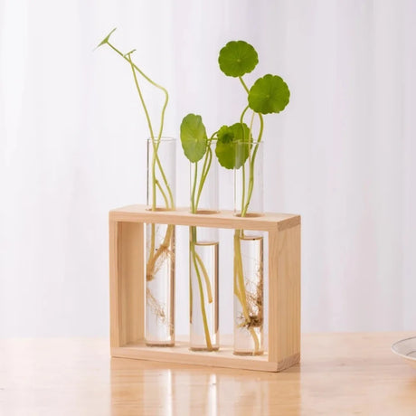 3/5 Tubes Wall Hanging Hydroponic Plant Propagation Glass Vase with Wooden Stand Desktop for Home Office Planter Garde Decor