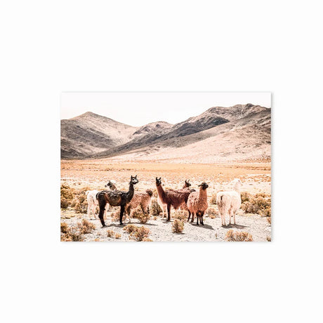 Baby Animal Alpaca Wall Art Canvas Print , Farm Animals Llama Art Canvas Painting Poster For Kids Room Nursery Wall Art Decor