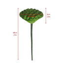 1PC DIY Decoration Artificial Flower New Landscape Long Stem PU Green Plant Artificial Flower Pole Lotus Pod Artificial Lotus