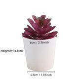 Artificial Succulent Bonsai Plants Simulation Succulents Mini Evergreen Bonsai Cactus Succulent Plastic Fake Plants Decor