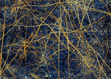 Jackson Pollock Abstract Oil Paintings on Canvas  Famous Art Prints for Living Room Wall Decor Modern Art Posters