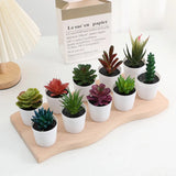 Artificial Succulent Bonsai Plants Simulation Succulents Mini Evergreen Bonsai Cactus Succulent Plastic Fake Plants Decor