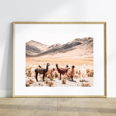 Baby Animal Alpaca Wall Art Canvas Print , Farm Animals Llama Art Canvas Painting Poster For Kids Room Nursery Wall Art Decor