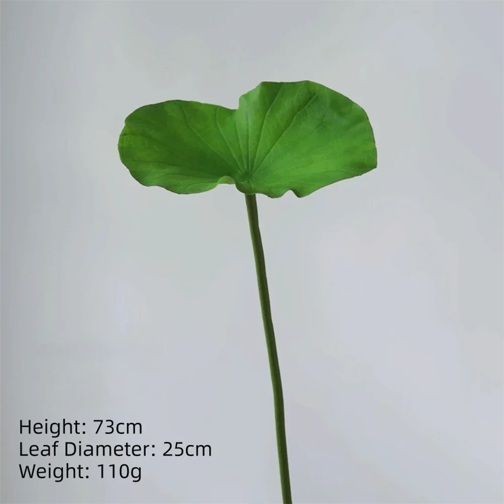 1PC DIY Decoration Artificial Flower New Landscape Long Stem PU Green Plant Artificial Flower Pole Lotus Pod Artificial Lotus
