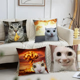 Cushion Cover Comfort Soft Cat Funny Pillowcase Sofa Meme Living Room Home Gift Office Decor Protective Covers
