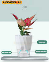 Transparent Double Layer Self Watering Planter, Automatic Water Absorbing Hydroponic Flower Pot for Office Decor