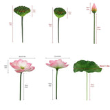 1PC DIY Decoration Artificial Flower New Landscape Long Stem PU Green Plant Artificial Flower Pole Lotus Pod Artificial Lotus