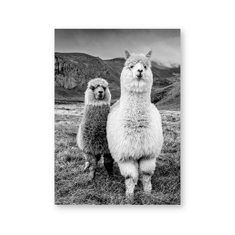 Baby Animal Alpaca Wall Art Canvas Print , Farm Animals Llama Art Canvas Painting Poster For Kids Room Nursery Wall Art Decor