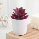 Artificial Succulent Bonsai Plants Simulation Succulents Mini Evergreen Bonsai Cactus Succulent Plastic Fake Plants Decor
