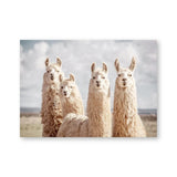 Baby Animal Alpaca Wall Art Canvas Print , Farm Animals Llama Art Canvas Painting Poster For Kids Room Nursery Wall Art Decor