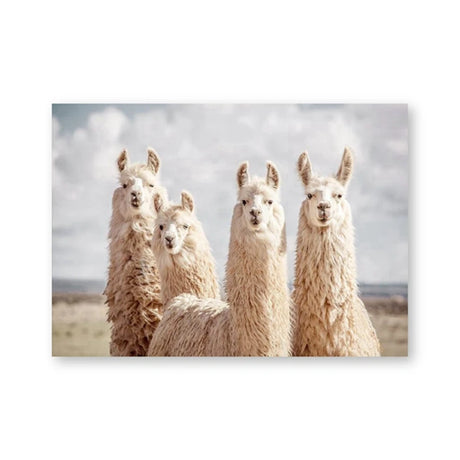 Baby Animal Alpaca Wall Art Canvas Print , Farm Animals Llama Art Canvas Painting Poster For Kids Room Nursery Wall Art Decor