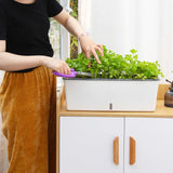 Self-Watering Planter Pots with Handy Water Level Indicator Gift for Friends Families Neighbors
