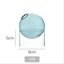 Mini Round Flower Vase Hydroponic Container Micro Landscape Glass Ecological Bottle Borosilicate Glass Bottle With Home Decorate