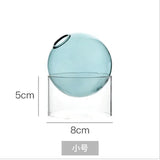 Mini Round Flower Vase Hydroponic Container Micro Landscape Glass Ecological Bottle Borosilicate Glass Bottle With Home Decorate