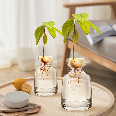 Two-piece Avocado Seed Starter Vase - Grow Your Own Avocado Tree Unique Glass Planting Pot for Gardening Lovers Start Your Green