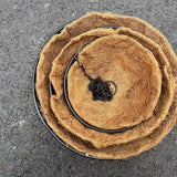 Coconut Brown Round Iron Chain Hanging Basket Flowerpot European Creative Fleshy Green Plant Chlorophytum Comosum Flowerpot