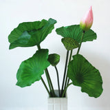 1PC DIY Decoration Artificial Flower New Landscape Long Stem PU Green Plant Artificial Flower Pole Lotus Pod Artificial Lotus
