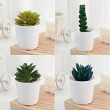 Artificial Succulent Bonsai Plants Simulation Succulents Mini Evergreen Bonsai Cactus Succulent Plastic Fake Plants Decor