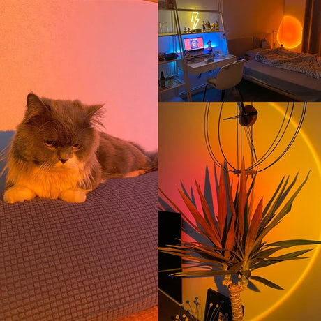 USB Sunset Light LED Rainbow Neon Night Lamp Sunset Projector Self Photography Light Wall Atmosphere Lighting For Bedroom Decor