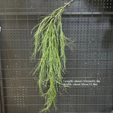 1PC Artificial Hanging Green Plants Fake Rattan Wall Hanging Plastic Vine for Home Garden Restaurant Decoration Soft Landscaping
