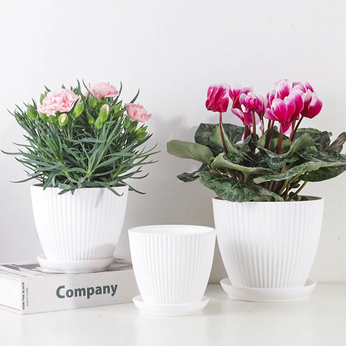 Plastic Flower Pot Succulent Plant Pot with Tray Green Dill Round Double Layer Small Flowerpot Home Office Desktop Decoration