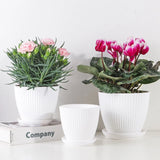 Plastic Flower Pot Succulent Plant Pot with Tray Green Dill Round Double Layer Small Flowerpot Home Office Desktop Decoration
