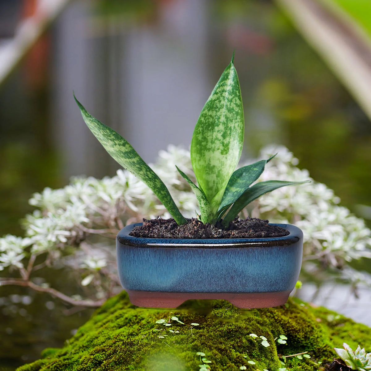 Ceramic Flower Pots with Drain Hole with Vent Design Easy to  for Indoor and Outdoor Plants